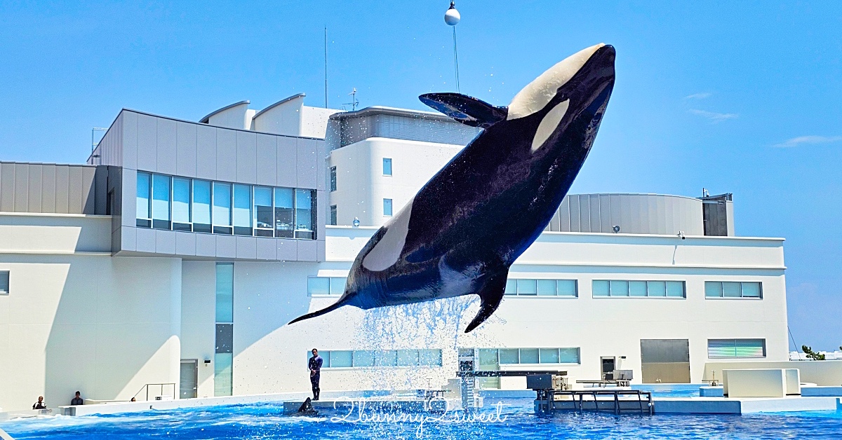 神戶須磨海洋世界 Kobe Suma Seaworld｜西日本唯一虎鯨表演水族館 2024 重新開幕 @嘿!部落!