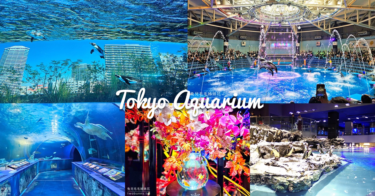 東京景點【東京水族館】TOP 5 推薦～門票、交通、特色大評比 &amp; 玩樂攻略 @嘿!部落!