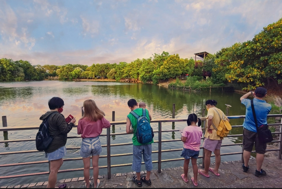 桃園八德埤塘自然生態公園|桃園親子景點野餐看小動物附近景點美食交通 @嘿!部落!